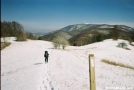 hiking towards Big Bald by Big Dawg in Section Hikers