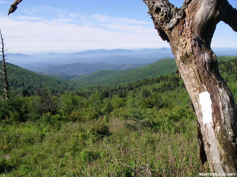 Vista South Of Thomas Knob Shelter, Va