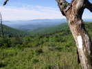 Vista South Of Thomas Knob Shelter, Va by Big Dawg in Trail & Blazes in Virginia & West Virginia