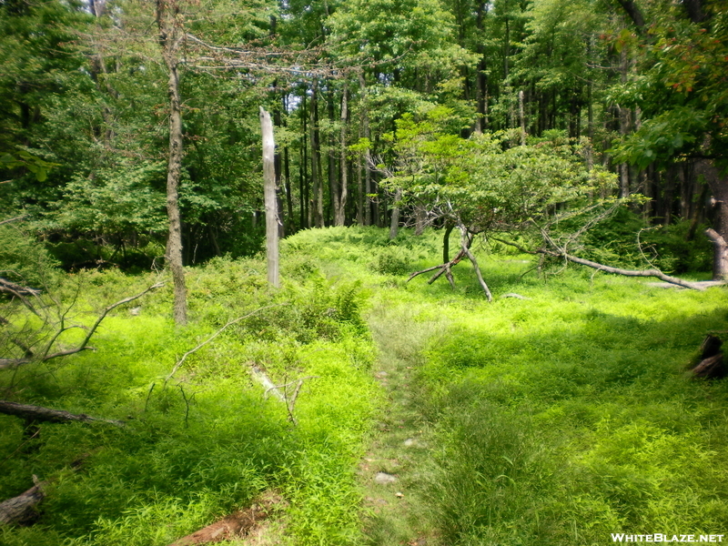 Wind Gap To Water Gap