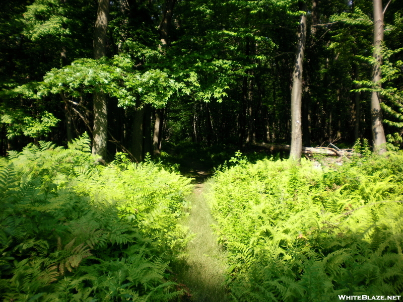 Wind Gap To Water Gap