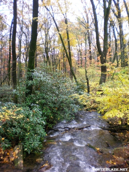 Windsor Furnace Creek/ Fall Colors