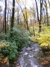 Windsor Furnace Creek/ Fall Colors