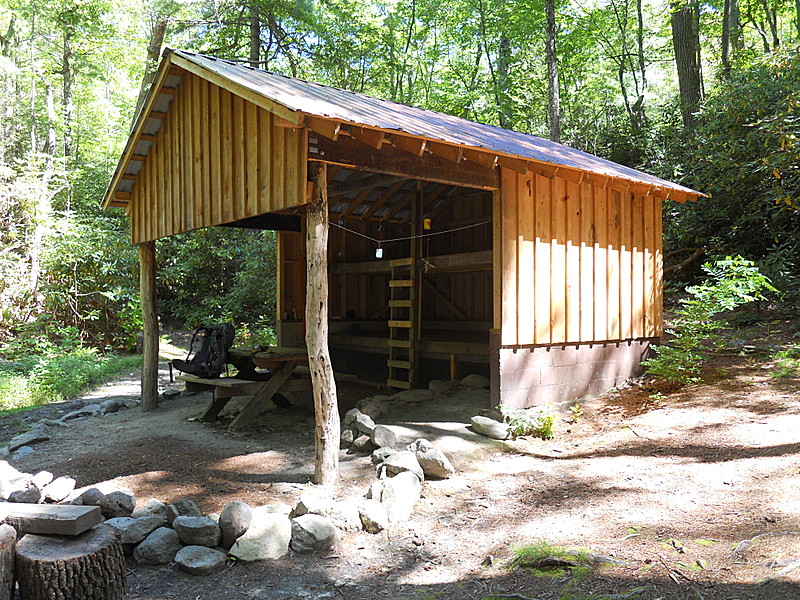 Curley Maple Shelter