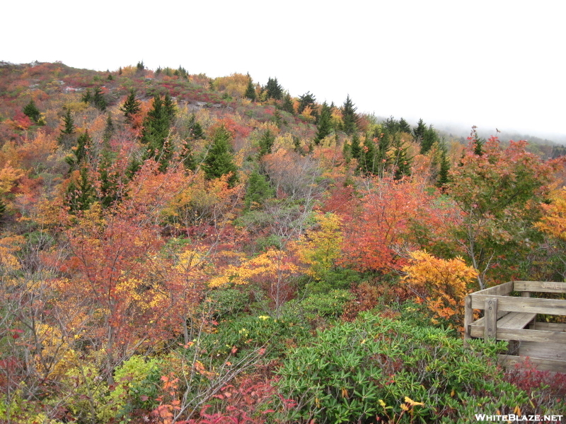 Mtns To Sea Trail Grandfather Mtn