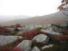 Mtns To Sea Trail Grandfather Mtn