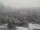 Snowy Blood Mountain Dec 18-20 09 by fishallday in Section Hikers