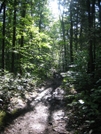 August Section Hike by Kinnick in Trail & Blazes in Maine