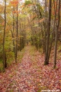 nj_trail_fall