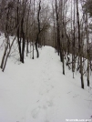 nj_trail_winter by inkblot in Trail & Blazes in New Jersey & New York