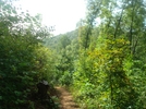 Trail And View Just North Of Justus Creek