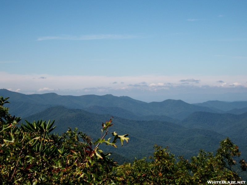 Views From Georgia