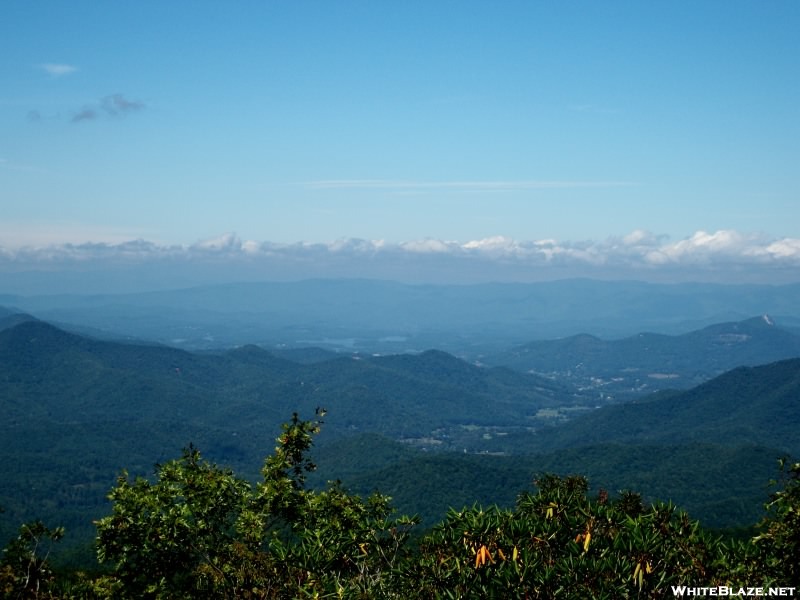 Views From Georgia