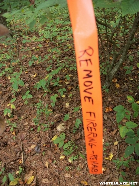 Trail Maintainers' Tape