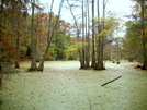 Merchant Millpond Sp Photos - Halloween 2009 by Not Sunshine in Views in North Carolina & Tennessee