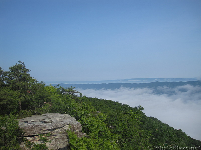 311 to rt. 220 mcafee s knob and tinker cliffs 044