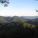 Big Run and Patterson Ridge trails' loop hike in Shenandoah National Park