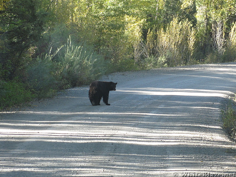 colorado trip 2012 183