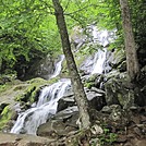 Dark Hollow Falls hike by Deer Hunter in Other Trails
