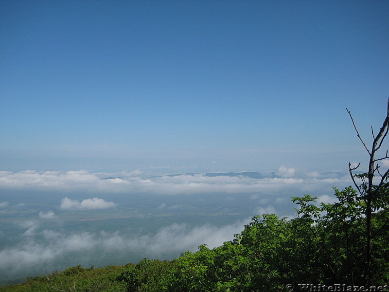 elliots knob hike 023