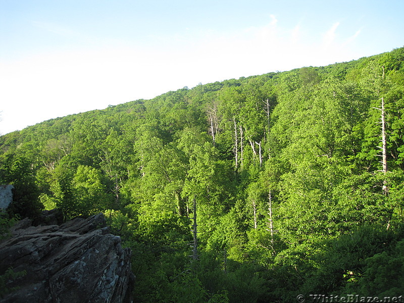 White Oak Canyon and Cedar Run Falls hike