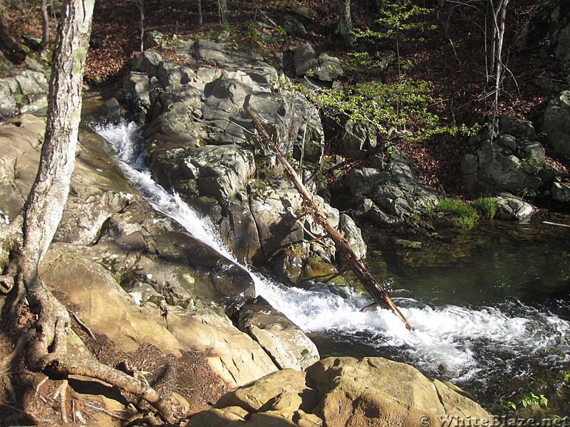 Rose River Falls and Hawksbill Mountain hike