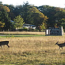 Rapidan Camp loop hike via Big Meadows