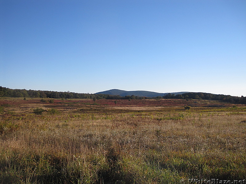 Rapidan Camp loop hike via Big Meadows