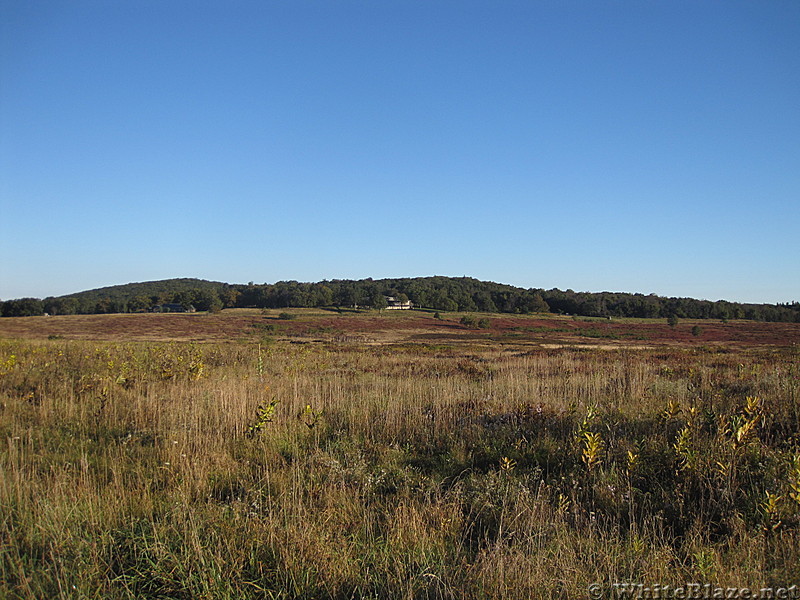 Rapidan Camp loop hike via Big Meadows