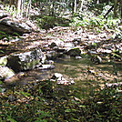 Rapidan Camp loop hike via Big Meadows by Deer Hunter in Other Trails