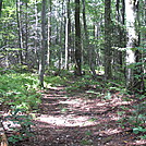 Rapidan Camp loop hike by Deer Hunter in Other Trails