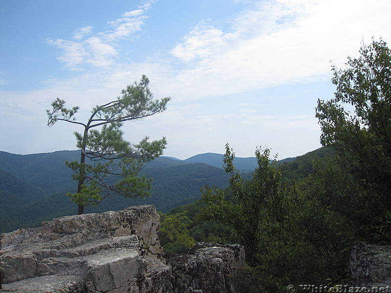 wildcat ridge loop hike 070