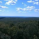 nyc skyline from harriman