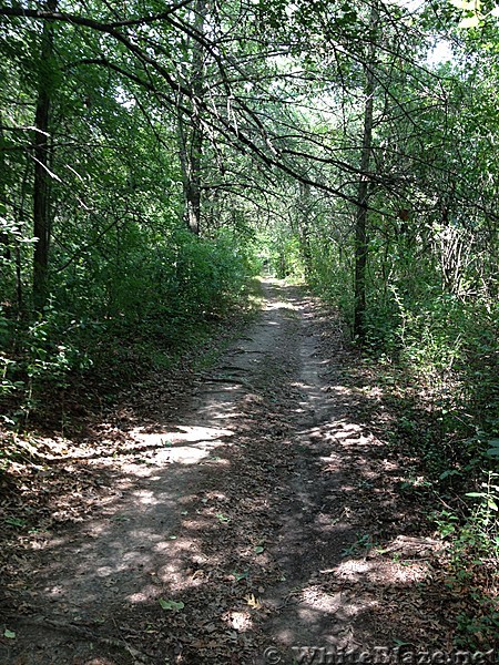 ice age trail lapham peak area