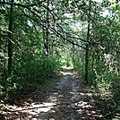 ice age trail lapham peak area