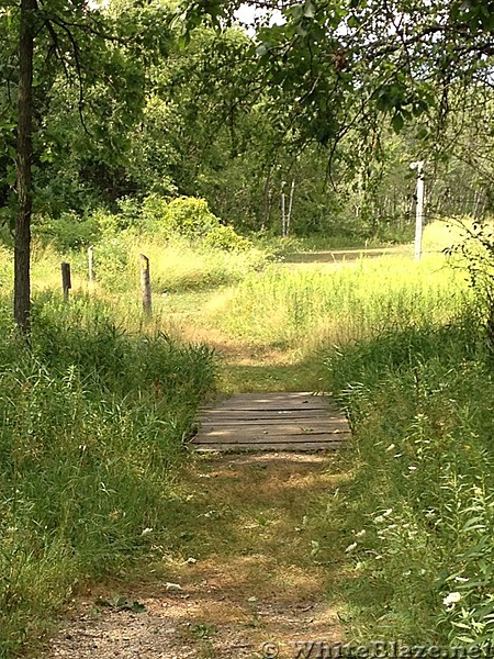 ice age trail lapham peak area