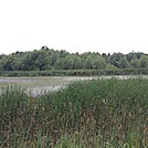 ice age trail lapham peak area