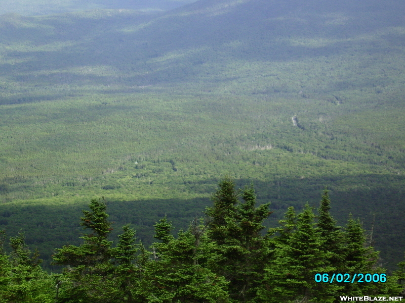 Crawford Path In The Presidential Range