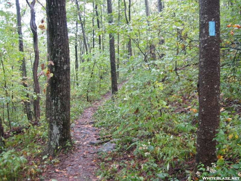 Blue Blazed Approach Trail