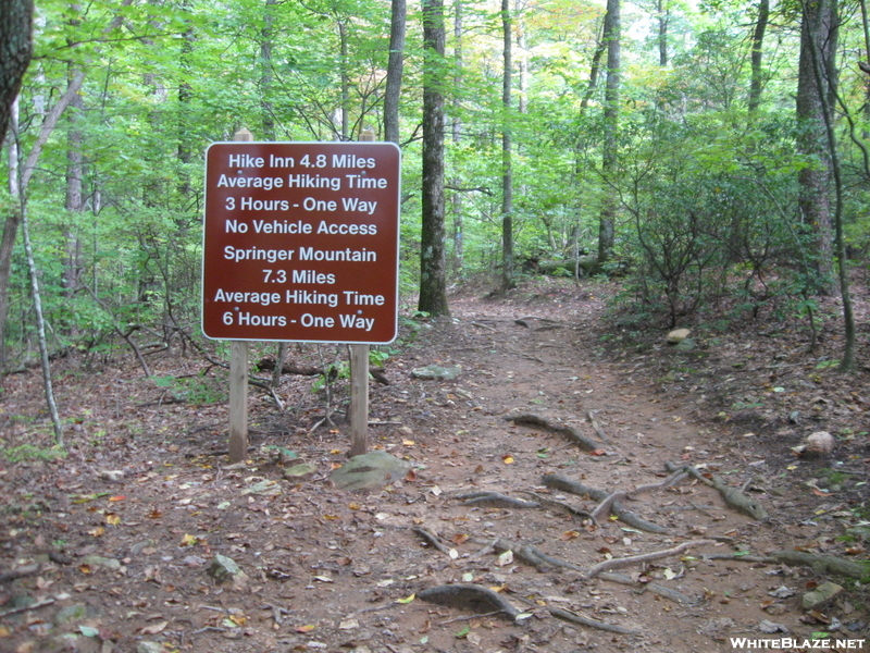 Top Of Falls