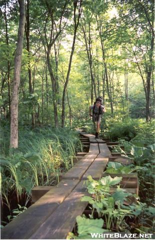 On the endless boardwalks