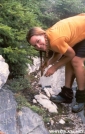 Picking Blueberries on Mt. Cube by Jumpstart in Thru - Hikers