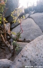 Scariest part of the trail by Jumpstart in Katahdin Gallery