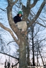 Bohemian in the Tree by Jumpstart in Tray Mountain Shelter