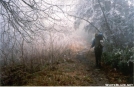 Rime-ice covered trees in the Smokies by Jumpstart in Trail & Blazes in North Carolina & Tennessee