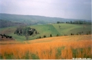 Sinking Creek Valley, VA by Jumpstart in Views in Virginia & West Virginia