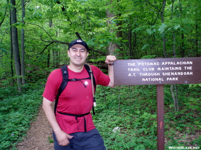 At The Shenandoah National Park Northern Boundary