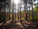 Hiking In Arcadia