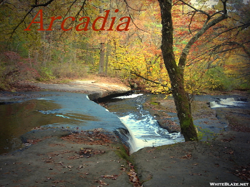 More Arcadia