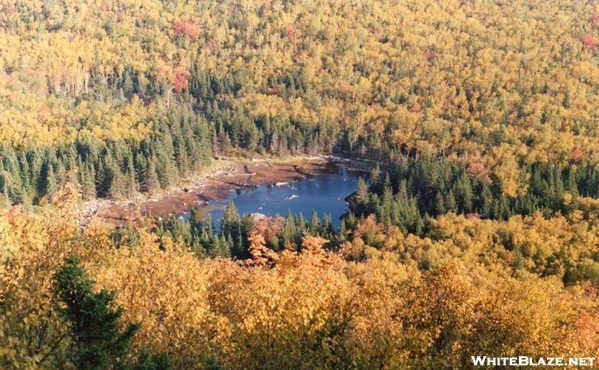 Maine Fall Colors